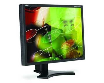 NEC 20IN LCD 1600X1200 700:1 L