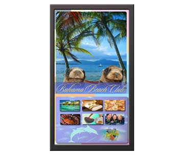 DISPLAYWERKS SAMSUNG 46" 