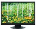 NEC 19IN LCD 1440X900 1000:1 ACCUSYNC AS191WM-BK DVI BLACK