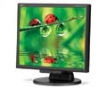 NEC 17IN LCD 1280X1024 1000:1 LCD175M-BK VGA/DVI-D BLK SPKR/HGT