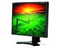 NEC 19IN LCD 1280X1024 1500:1 VGA DVI BLK 8MS PVT TLT SWVL HGT