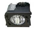 DataStor REPLACEMENT LAMP FOR OEM LAMP SAMSUNG BP96-00224A