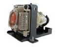 DataStor REPLACEMENT LAMP FOR OEM LAMP # BENQ 59.J9901.CG1