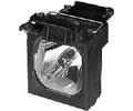 DataStor REPLACEMENT LAMP FOR OEM LAMP SONY LMP-P200