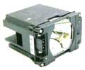 DataStor OEM REPLACEMENT LAMP SANYO POA-LMP96