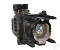 DataStor REPLACEMENT LAMP FOR OEM LAMP SONY XL-2500