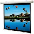 Draper Salara Wall Mounted Motorized Projection Screen