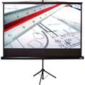 Vutec 100" Portable Tripod Screen