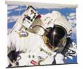 Draper Luma 4:3 120" Manual Wall Projection Screen