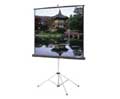 Da-Lite 86019 45X80 VIDEO SPECTRA 1.5 PICTURE KING