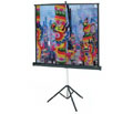 Da-Lite 72262 60X60 VERSATOL SCREEN