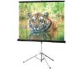 Draper Consul Tripod Projection Screen