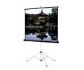 Da-Lite 50INX50IN PICTURE KING TRIPOD MATTE WHITE SQ FORMAT GRAY CARPET