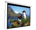 Draper 10FT DIAGONAL ACCUSCREENS NTSC ELECTRIC WALL CEILING 72X96IN