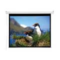 Draper 7FT DIAGONAL ACCUSCREENS NTSC ELECTRIC WALL CEILING 4:3 50.5X67IN