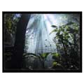Draper 8FT DIAGONAL ACCUSCREENS NTSC FIXED SOUNDSCREEN MATT WHITE