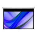 Draper 109IN ACCUSCREENS MANUAL SCREEN MATT WHITE 16:10