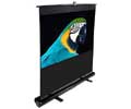 Elite 84IN DIAG F84NWH PULL UP FLOOR 16:9 TELESCOPE SCRN W/CARRYNG CASE