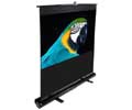 Elite 84IN DIAG F84NWV PULL UP FLOOR 4:3 TELESCOPE SCREEN W/CARRYNG CASE