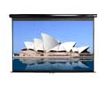 Elite 100IN DIAG MANUAL PULL DOWN SCREEN 16:9 49X87 BLACK CASE