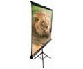 Elite 99IN DIAG PORTABLE PULL UP SCREEN 1:1 70X70 TRIPOD BLACK CASE